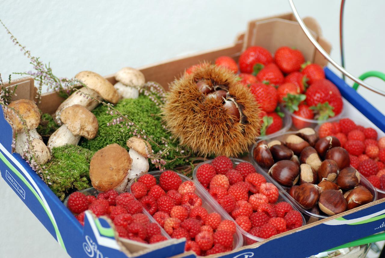 Bed And Breakfast Ca D'Pandin Peveragno Esterno foto