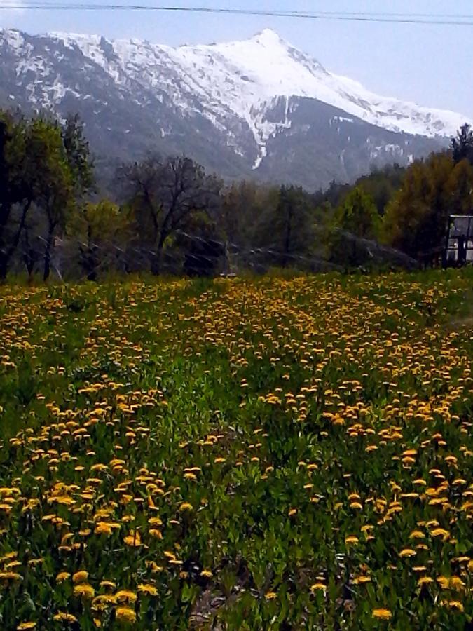 Bed And Breakfast Ca D'Pandin Peveragno Esterno foto